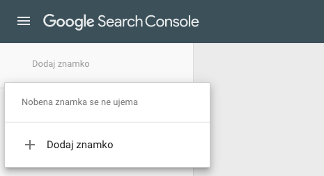 Google search console vzpostavitev